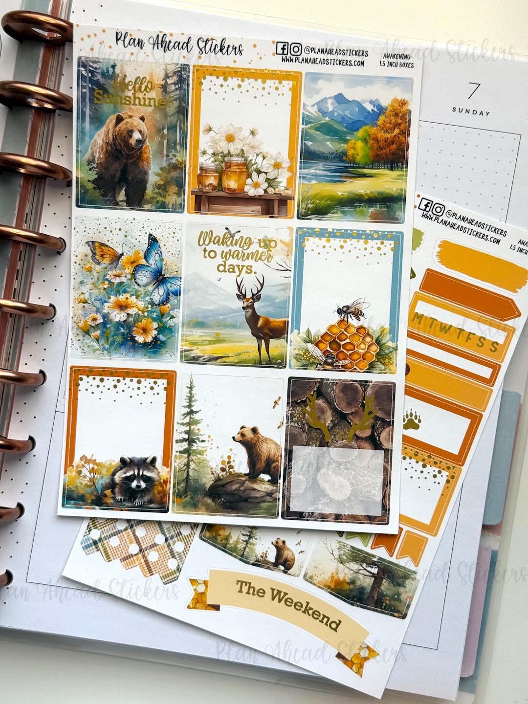 DELUXE FOILED Awakening Spring 2 PG Planner Sticker Kit 1.5 inch - Etsy ...