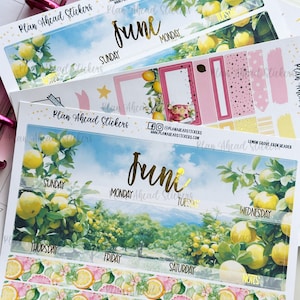 May include: Lemon grove themed planner stickers for June. The stickers feature a watercolor illustration of a lemon grove with lemons, leaves, and flowers. The stickers are designed for use in a planner or journal.