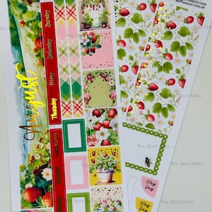 May include: Sheets of decorative stickers featuring strawberry and floral designs. Includes stickers with the days of the week, frames, and the word "August" in gold. The stickers have a watercolor style with a variety of colors.