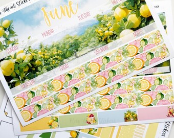May include: A collection of planner stickers with a lemon grove theme. The stickers feature watercolor illustrations of lemons, citrus slices, and floral accents. The word "June" is written in a yellow script font, and the days of the week are also included.