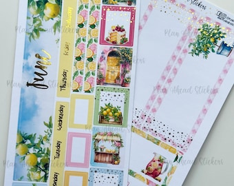 LAST CHANCE JUNE Foiled Lemon Grove Hobonichi Weeks Monthly Sticker Kit – Summer Lemonade