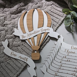 Hot Air Balloon Milestone Prop | Interchangeable Milestone Photo Prop | Hot Air Balloon Photo Prop | Baby Milestones Plaque| Hot Air Balloon