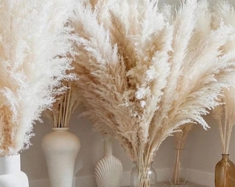 Pampasgras Beige Natur ca.100–105cm Gesamtlänge | Blüten ca. 60–75cm | Boho Trockenblumen Deko | Großes Pampasgras| Trockenblumen Pampasgras