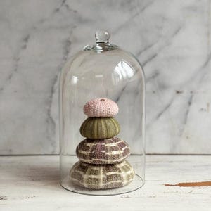 May include: A glass cloche showcases a stack of four sea urchin shells. The shells are in pink, green, and brown hues, with a textured surface. The cloche rests on a white surface against a marble backdrop.