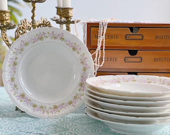 Raro hallazgo antiguo China D&Co Francia Delinieres limoges hizo platos hondos 9" 1890s