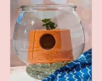 Snail Condo; Fish Cave; Snail Hide; Aquarium Decoration; Pet Furniture; Fish Hide; Snail Nest; Aquarium Cave; Natural Aquarium