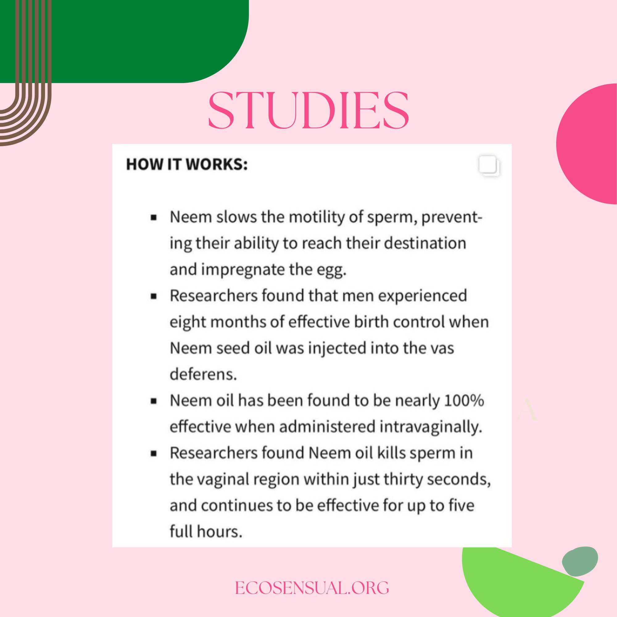 Natural Birth Control Organic Neem Oil Spermicide 1 Oz Etsy