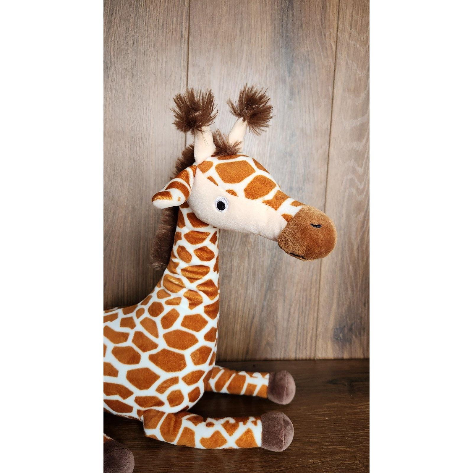 コールズ ケアーズ キリン プロブレムズ リーディング バディ 13インチ