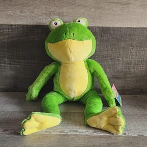 Kohl's Cares Tony Mitton Down By The Cool Of The Pool Approx 18" Frog Plush 2011