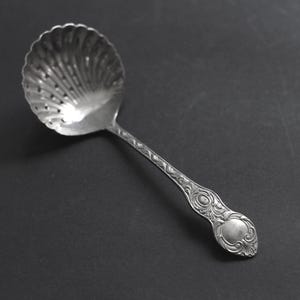May include: A silver-toned metal sugar sifter spoon featuring a bowl shaped like a scalloped seashell with small perforations. The handle is decorated with an embossed floral and scroll pattern, ending in a rounded, smooth-surfaced terminal.