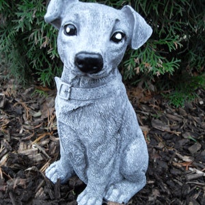Könnte beinhalten: Eine graue Betonstatue eines sitzenden Hundes mit aufgestellte Ohren. Der Hund hat eine schwarze Nase und weiße Augen. Die Statue steht auf einem Bett aus braunen Holzspänen.