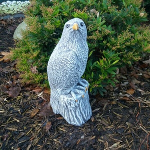 Könnte beinhalten: Eine graue Vogelskulptur aus Beton, die auf einem Baumstumpf sitzt. Der Vogel hat einen gelben Schnabel und blickt nach vorne. Die Skulptur steht auf einem Bett aus braunem Mulch.