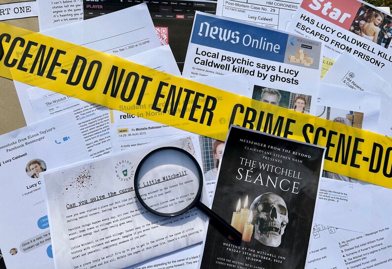 Cold Case File Bundle | Detective Investigation | Diamond Princess Murder Mystery & The Curse of Little Witchell bild 7