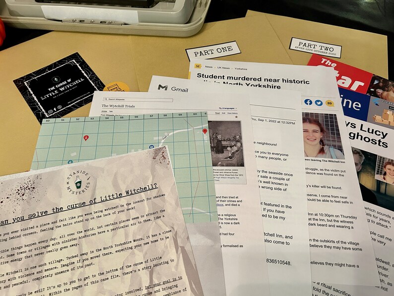 Cold Case File Bundle | Detective Investigation | Diamond Princess Murder Mystery & The Curse of Little Witchell bild 2