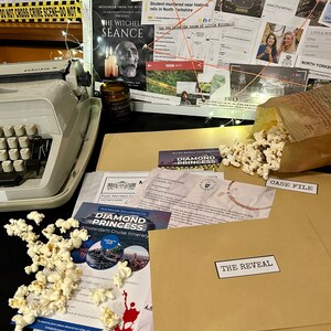 Cold Case File Bundle | Detective Investigation | Diamond Princess Murder Mystery & The Curse of Little Witchell bild 9
