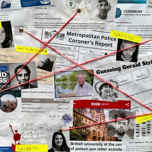 Diamond Princess Cruise Ship Cold Case File | Detective Investigation Game Unsolved Murder Mystery image 2