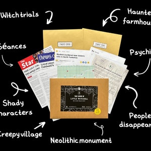 Cold Case File Bundle | Detective Investigation | Diamond Princess Murder Mystery & The Curse of Little Witchell bild 4