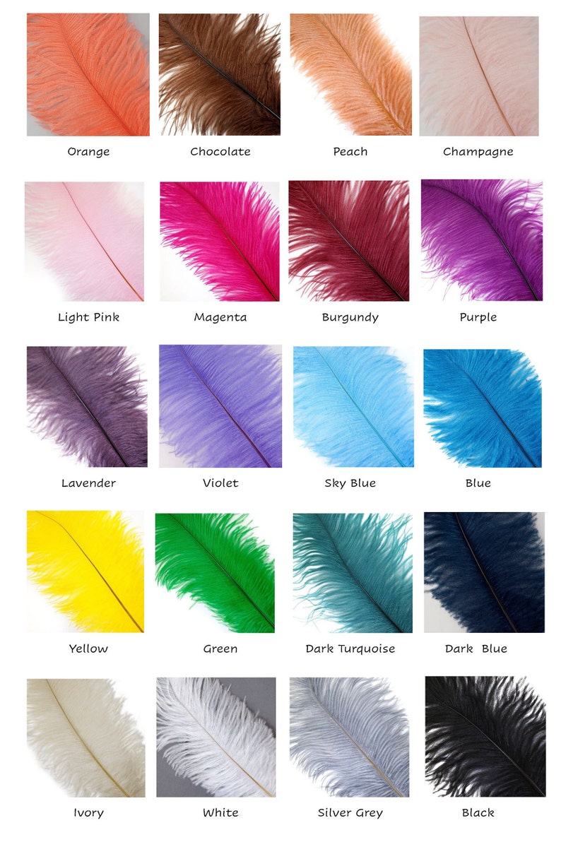 MADE TO ORDER Cupid Heart Shaped Angel Wings Ostrich Feather Large