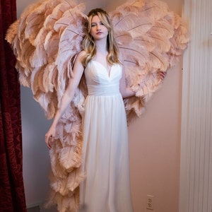 Champagne Ostrich Feather Large  Angel Wings Photography props for Boudoir, Maternity, Burlesque Light Pink Angel Wings