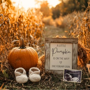 May include: An autumnal scene featuring a large orange pumpkin, two cream-coloured baby booties, and a wooden sign. The sign reads "A Little Pumpkin is on the Way!" with a due date of February 2026. A sonogram image is also present.