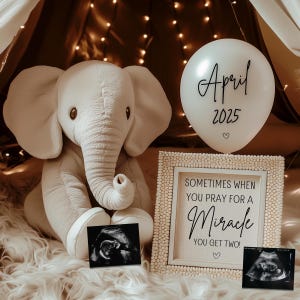 Neutral Rainbow Twin Baby Announcement Digital, Editable IVF Twin Pregnancy Announcement, Social Media Pregnancy Announcement Template