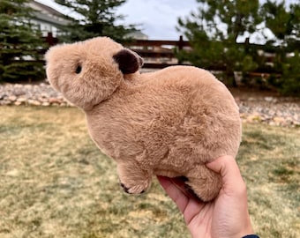 Peluche personalizado de capibara ~ Tela suave y lujosa