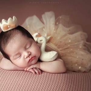 K&ouml;nnte beinhalten: Ein schlafendes Baby mit einer Filzkrone mit Pfirsichschleife und einem T&uuml;llrock mit goldenen Punkten. Ein wei&szlig;es Schwan-Pl&uuml;schtier liegt in der N&auml;he des Gesichts des Babys. Das Baby liegt auf einer rosa Decke.