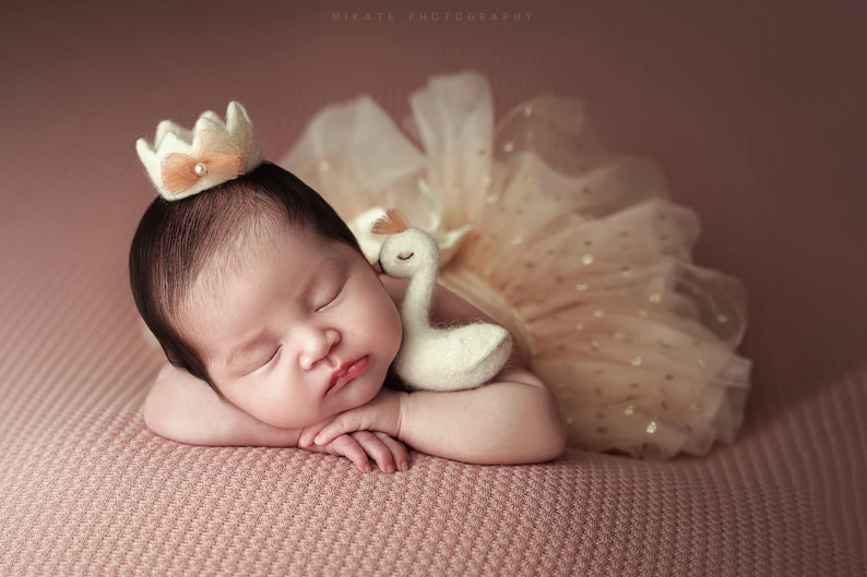 K&ouml;nnte beinhalten: Ein schlafendes Baby mit einer Filzkrone mit Pfirsichschleife und einem T&uuml;llrock mit goldenen Punkten. Ein wei&szlig;es Schwan-Pl&uuml;schtier liegt in der N&auml;he des Gesichts des Babys. Das Baby liegt auf einer rosa Decke.