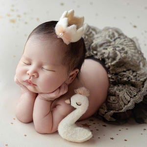 K&ouml;nnte beinhalten: Ein schlafendes Baby mit einer kleinen Krone und einem dekorativen Rock. Ein wei&szlig;es Schwan-Pl&uuml;schtier liegt in der N&auml;he. Das Baby liegt auf einer cremefarbenen Oberfl&auml;che mit goldenen Sternakzenten.