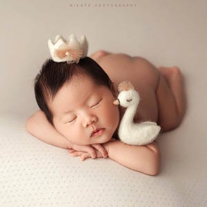 K&ouml;nnte beinhalten: Ein schlafendes Baby mit einer kleinen Krone, das auf seinen Armen ruht. Ein wei&szlig;es Schwan-Pl&uuml;schtier liegt neben dem Gesicht des Babys. Der Hintergrund ist eine weiche, neutrale Farbe.