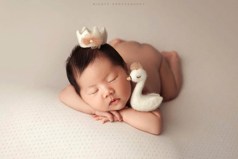 K&ouml;nnte beinhalten: Ein schlafendes Baby mit einer kleinen Krone, das auf seinen Armen ruht. Ein wei&szlig;es Schwan-Pl&uuml;schtier liegt neben dem Gesicht des Babys. Der Hintergrund ist eine weiche, neutrale Farbe.