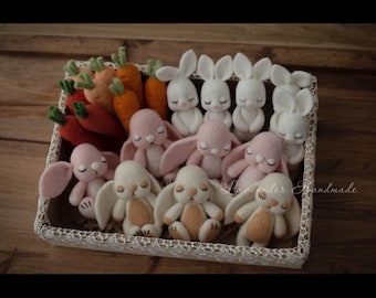 Newborn Bunny Photo Props Set, Felt Rabbit Props, Easter Baby Photography Accessories, Handmade Wool Bunny, Carrot Props for Newborn Shoot
