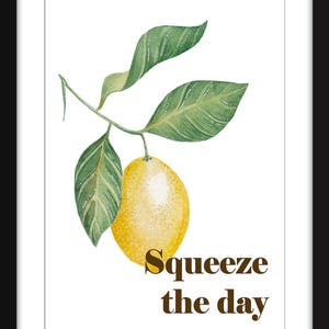 Squeeze the Day - Impression sans cadre