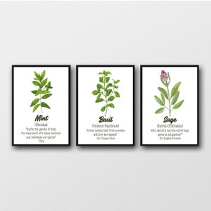 Set of 3 Herb Prints - Ideal Gift for Cook