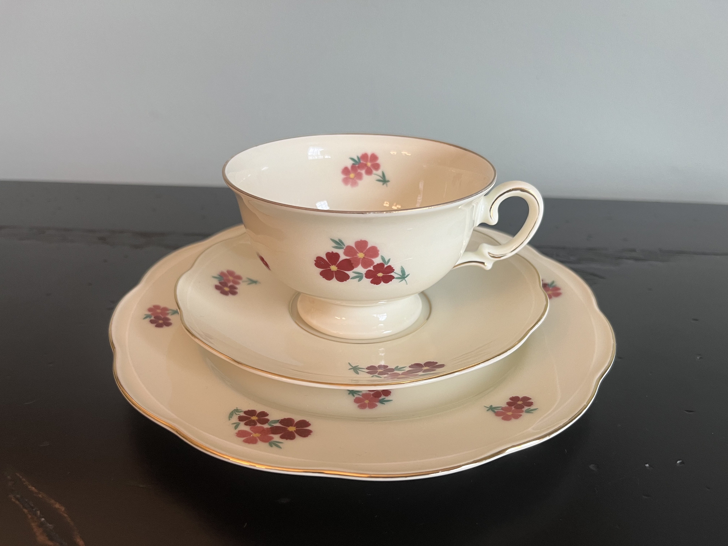 Vintage Princess KPM A.D. 1831 Germany Set of 3 - Tea Cup, Saucer