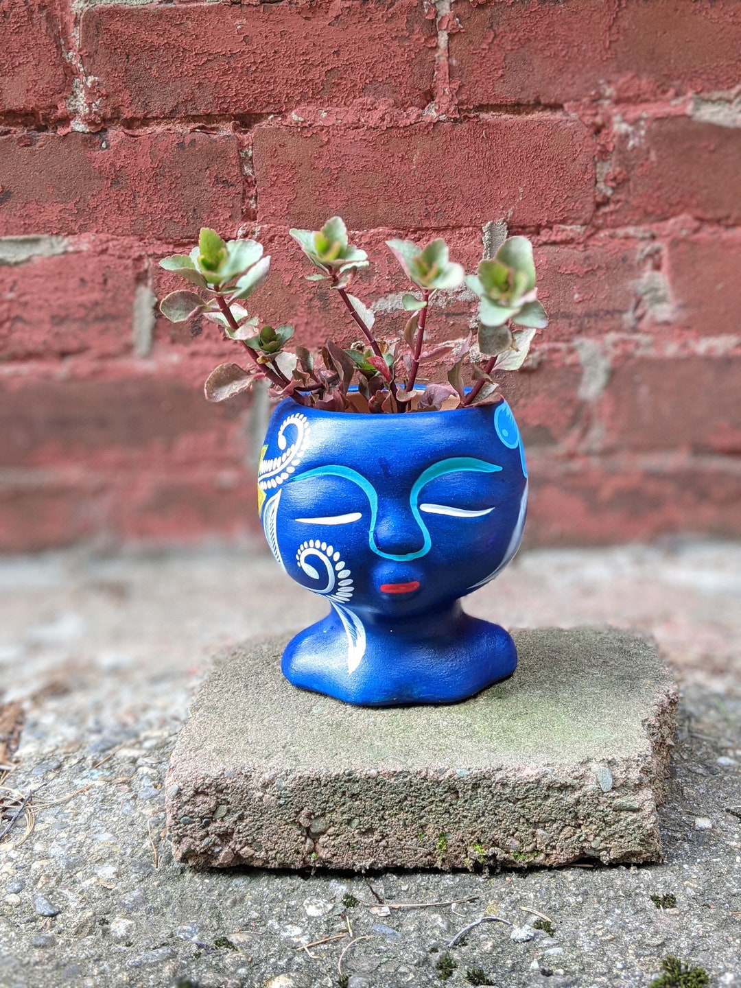pot-head-planter-house-plant-pot-garden-decor-whimsical-pot