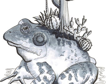Crapaud