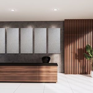 2&#39; x 4&#39; Grey Acoustic Wall Panels (10-Pack) Hanging Accessories Included NEW Sound Absorption for Offices, Home Theaters, Studios etc.