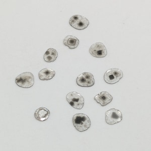 May include: A collection of 14 small, round, clear glass pieces with black and gray inclusions. The pieces are scattered on a white surface.
