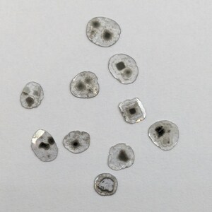 May include: A collection of ten small, clear, translucent, irregularly shaped stones with black inclusions. The stones are scattered on a white surface.