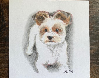 Retrato personalizado de mascota: Dibujo a lápiz de color hecho a mano (7,6 x 7,6 cm)
