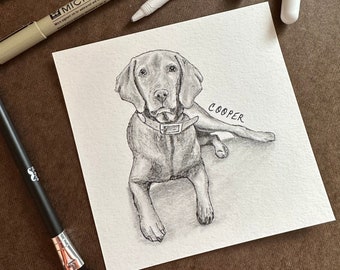 Custom Pencil and Ink Pet Portrait: Minimalist Pet Memorial Art