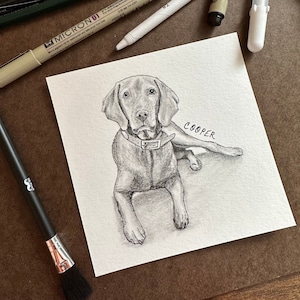 Pencil and Ink Pet Portrait | Custom from photo | Pet Memorial | Minimalist Portrait Design | Cartoon-like drawing | Pet Art | Gift