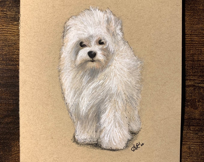 Custom pet portrait on toned paper | Colored pencils | Custom pet portrait from photo | Pet gift | Memorial portrait | Pet art | 5x7 or 8x10