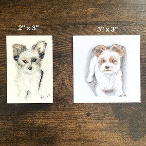 K&ouml;nnte beinhalten: Zwei kleine Aquarellportr&auml;ts eines Hundes. Das erste ist ein rechteckiges St&uuml;ck, 5 cm x 7,6 cm, mit einer detaillierten Nahaufnahme eines Hundes mit grauem, braunem und wei&szlig;em Fell. Das zweite ist ein quadratisches St&uuml;ck, 7,6 cm x 7,6 cm, eines Hundes mit braunem und wei&szlig;em Fell.
