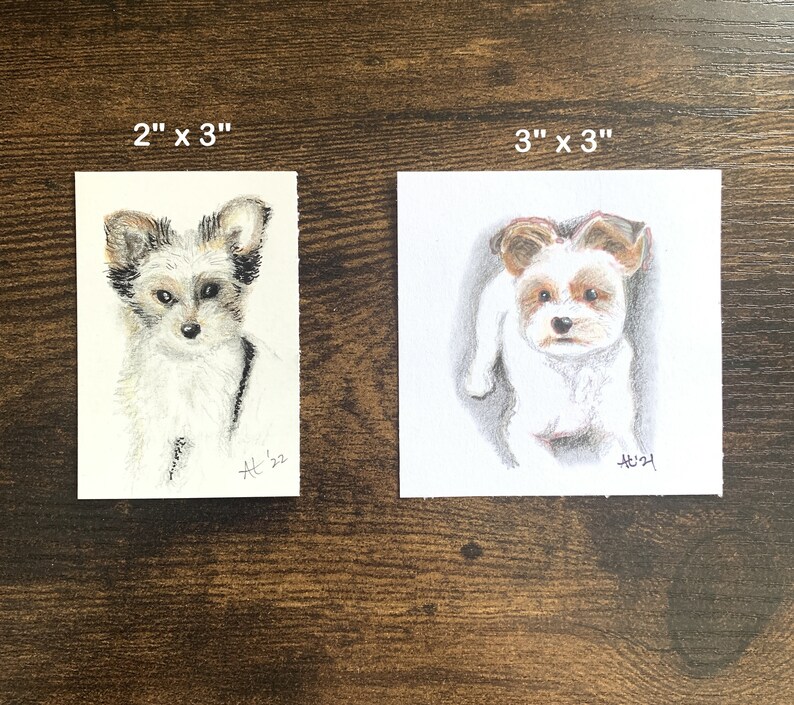 K&ouml;nnte beinhalten: Zwei kleine Aquarellportr&auml;ts eines Hundes. Das erste ist ein rechteckiges St&uuml;ck, 5 cm x 7,6 cm, mit einer detaillierten Nahaufnahme eines Hundes mit grauem, braunem und wei&szlig;em Fell. Das zweite ist ein quadratisches St&uuml;ck, 7,6 cm x 7,6 cm, eines Hundes mit braunem und wei&szlig;em Fell.