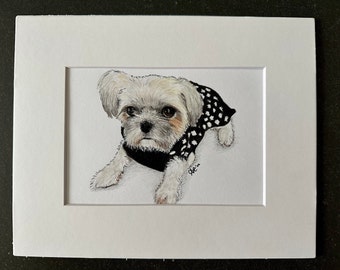 Retrato personalizado de mascota: Dibujo a lápiz de color ilustrado a mano (8x10)