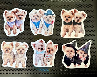 Pegatinas personalizadas para fotos de mascotas: Juego de 6