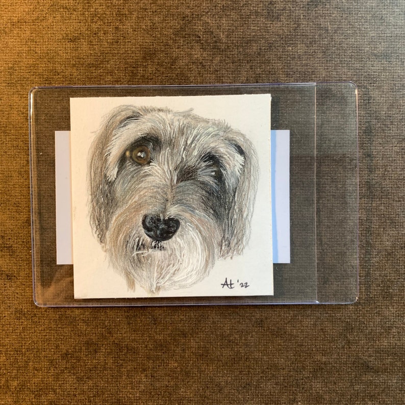 K&ouml;nnte beinhalten: Detaillierte Bleistiftzeichnung eines Hundegesichts mit grauem und wei&szlig;em Fell, einer schwarzen Nase und einem braunen Auge. Das Kunstwerk ist mit "AT '22" signiert und in einer transparenten Kunststoffh&uuml;lle.