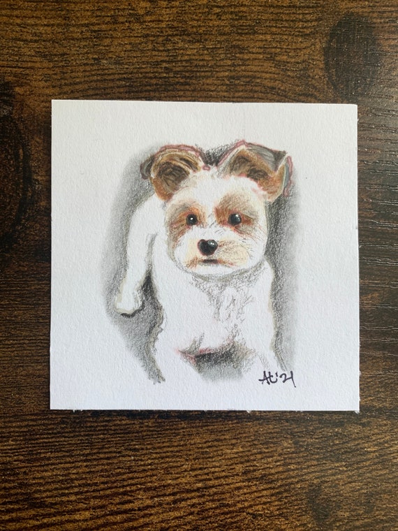 Custom Pet Portrait: Hand-Drawn Colored Pencil Art (3x3 in)